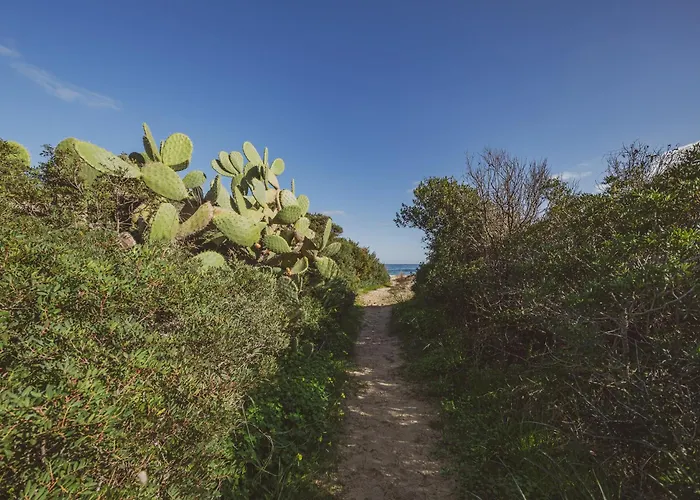 Elena 200m From The Costa Rei